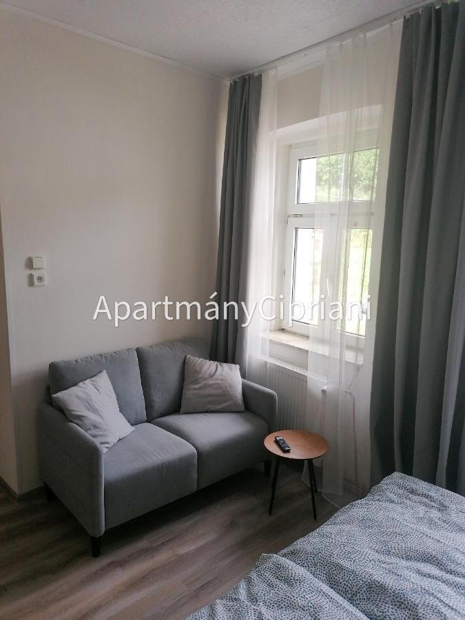 Apartmany Cipriani Jachymov Exterior photo